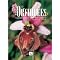 Orchid�es sauvages de France