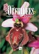 Les Orchid�es sauvages de France : Grandeur nature