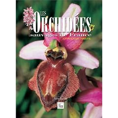 Les Orchid�es sauvages de France : Grandeur nature