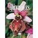 Les Orchid�es sauvages de France : Grandeur nature