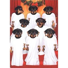 Eight Rottweilers Ringing
