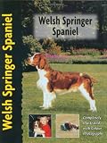 Welsh Springer Spaniel (Pet Love)