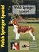 Welsh Springer Spaniel (Pet love)