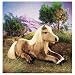 Folkmanis 2361 - Palomino-Pferd