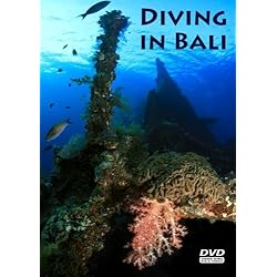 Diving in Bali