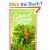 Anne of Windy Poplars (Anne of Green Gables Novels)