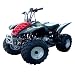 Full Size 4-stroke 125cc ATV, Newest Arrival!