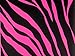 HOT PINK & BLACK ZEBRA Gift Wrap Wrapping Paper 16 Foot Roll