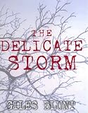 The Delicate Storm