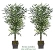TWO 8' Fishtail Palm Artificial Trees _brand New, with No Pot,