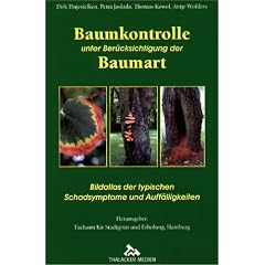 Baumkontrolle unter Ber�cksichtigung der Baumart: Typische Schadsymptome und Auff�lligkeiten