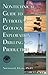 Nontechnical Guide to Petroleum Geology, Exploration, Drilling and Production (PennWell nontechnical series)