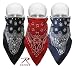 Trainman Bandana Mask