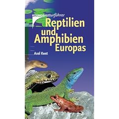 Reptilien und Amphibien Europas