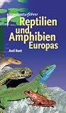Reptilien und Amphibien Europas