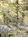 Books : Painting the Four Seasons: Atmospheric Landscapes in Watercolour