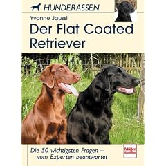 Der Flatcoated Retriever: Die 50 wichtigsten Fragen - vom Experten beantwortet: Die 50 wichtigsten Fragen - von Experten beantwortet (Hunderassen)