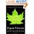 Pagan Visions for a Sustainable Future