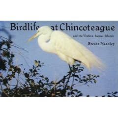 Bird Life at Chincoteague and the Virginia Barrier Islands