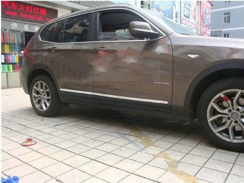 Auto Stainless Steel Body Door Side Molding Trim 