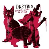 Another Sound Is Dying [Vinyl]