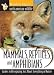 North american wildlife: mammals, reptiles, amphibians field guide (North American Wildlife)