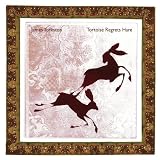 Tortoise Regrets Hare [7" VINYL]