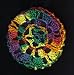 Rainbow Multi Star Pattern Crocheted Hair Bun Cover- MEDIUM