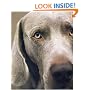 William Wegman Polaroids