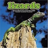 Lizards 2007 Wall Calendar