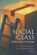Social Class: How Does It Work?