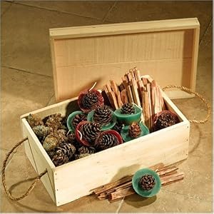 Woodfield Color Pine Cones Firestarter Gift Box for Fireplace