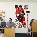 Fathead D. Alfredsson