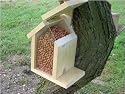 SQUIRREL FEEDER & 2 kg pack of food