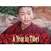 Monks Behaving Badly
