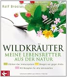 Produkt-Bild: Wildkr&auml;uter - meine Lebensretter aus der Natur: St&auml;rken das Immunsystem - Beugen vor gegen Krebs - Mit Rezepten f&uuml;r alle Jahreszeiten