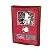 David Ortiz Boston Red Sox Autogrpahed Baseball Shadowbox