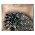 Hen-Feathers Water Lily Study