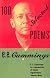 100 Selected Poems