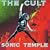 Sonic Temple