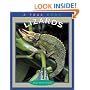 Lizards (True Books)