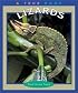 Lizards (True Books: Animals)
