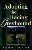 Adopting the Racing Greyhound