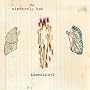 Sincerely Hot