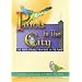 Parrots in the City: One Bird's Struggle for a Place on the Planet