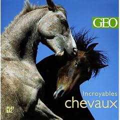 Incroyables chevaux