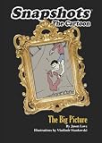 Snapshots: The Big Picture