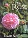 The Rose