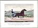 The champion trotting stallion Smuggler owned by H.S. Russell, Milton Mass.: By Blanc...