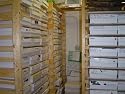 NFL Football Card Collector Box with Over 500 Cards